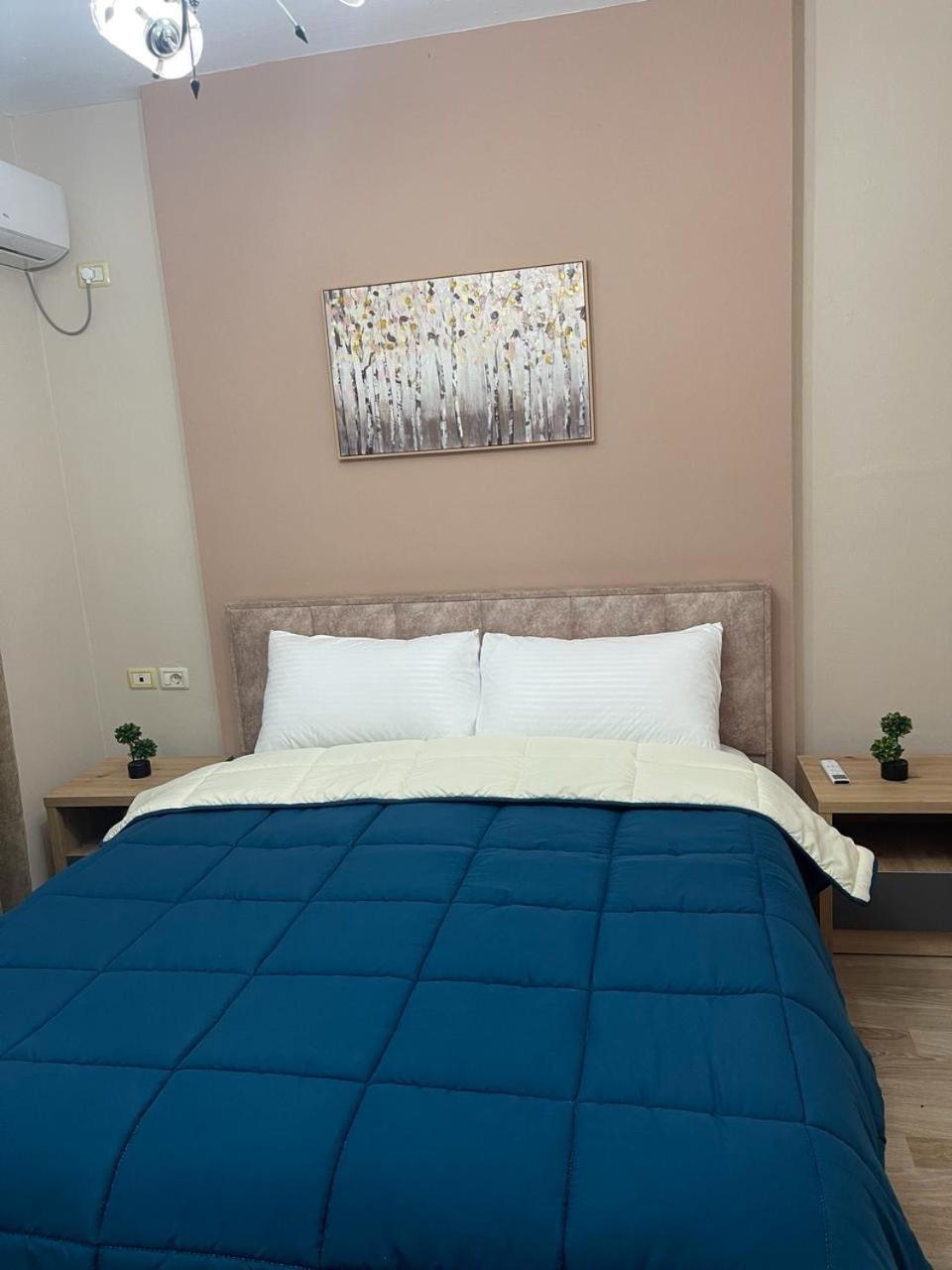 Comfort Apartment City Center 地拉那 外观 照片